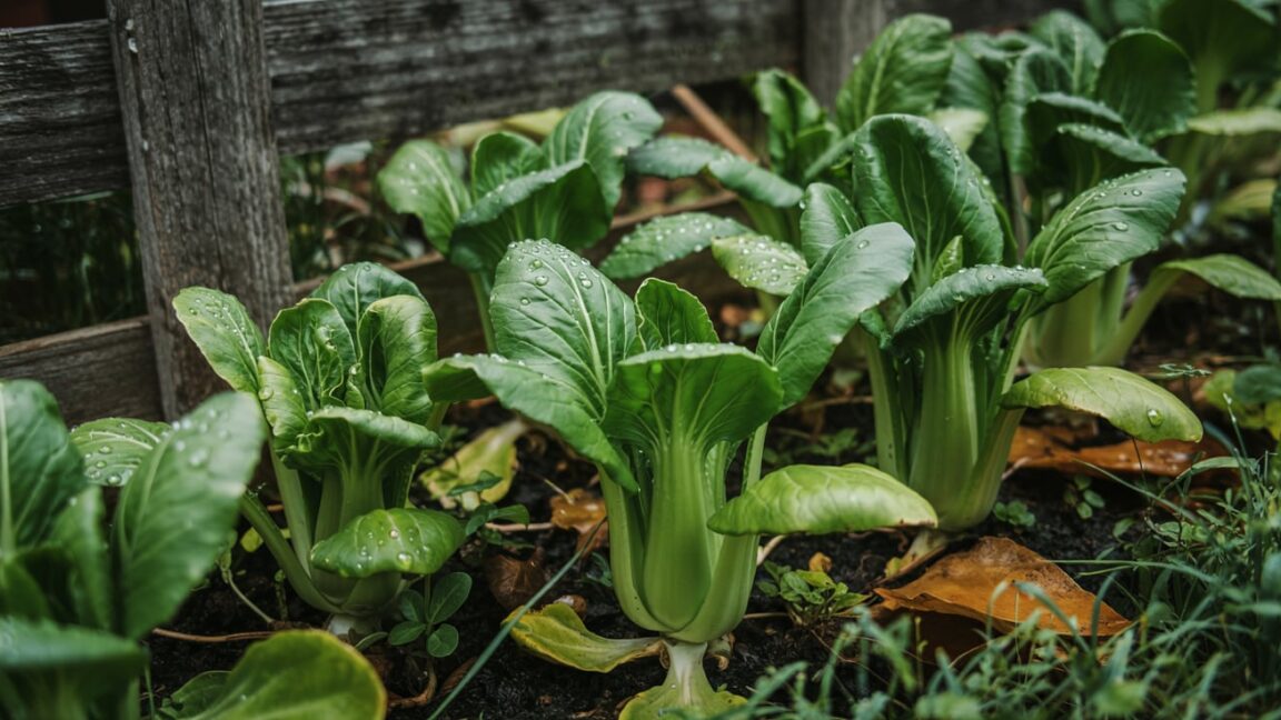 20 fast growing vegetables for gardeners in a hurry urban gardening hq